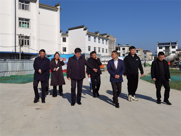 3月14日，县委副书记吴志平带队督察邻里中心项目。.jpg
