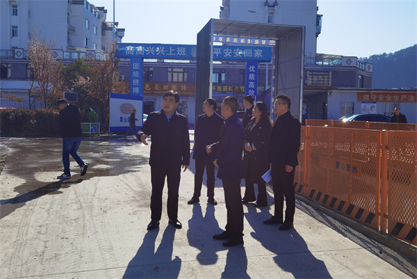 3月14日，县委副书记吴志平带队督察邻里中心项目1。.jpg